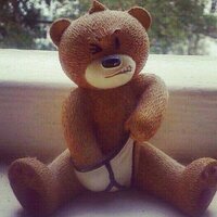 Oso TED (@chistesdeted) 's Twitter Profile