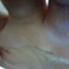 Faria FariaLopes