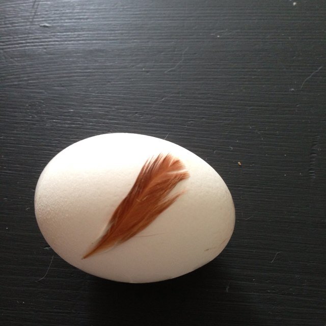 Sam__lan's profile picture. 