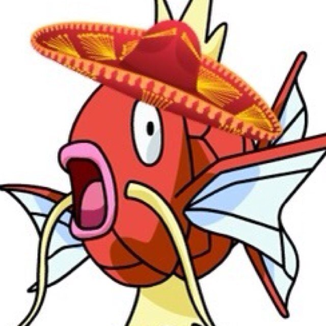Hola, soy señor Magikarp. Me gustan los tacos y los festivales! Hello, I am Señor Magikarp. I like ta cos and festivals! ||Level: 100||