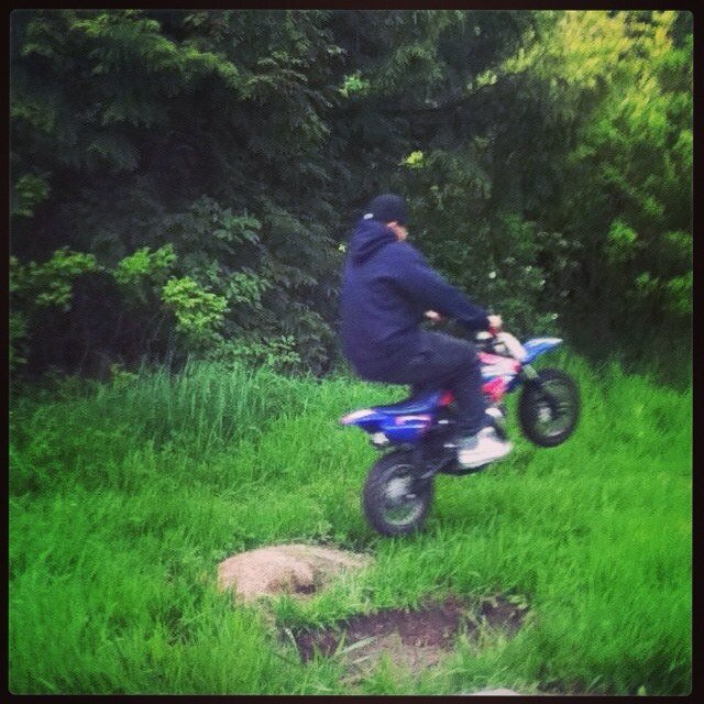 s_curzon's profile picture. Likes:girls,football,going out wiv mates,bike rides,sk8 parks,ferns