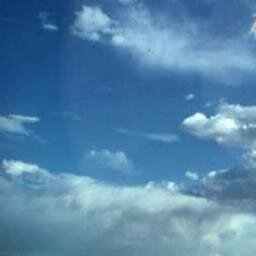 CameoFacts's profile picture. They're usually not around. Only some of them are known by only some, and most of them are known by none. Yet they all belong to the famed and celebrated ones.