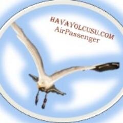 info@havayolcusu.com