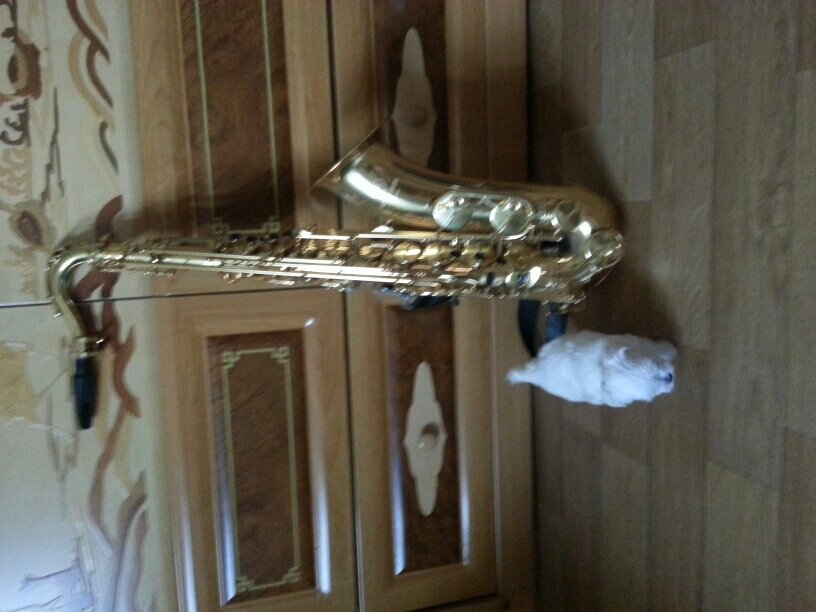 munsan64's profile picture. 