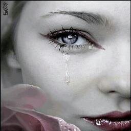 AllreadDievie's profile picture. 