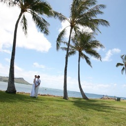 Islanderwedding's profile picture. Aloha! Islander Weddings offers Affordable, All Inclusive Hawaii Wedding Packages, Destination Weddings and Vow Renewals at beautiful beaches on Oahu, Hawaii.