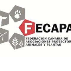 Federación Canaria de Asociaciones Protectoras de Animales y Plantas