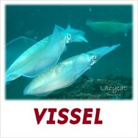 妖～くん(@VVissel) 's Twitter Profile Photo