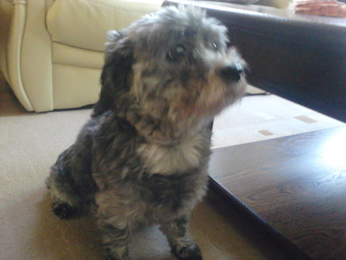 sanderterveld's profile picture. 