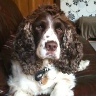 jinkyvelma's profile picture. 