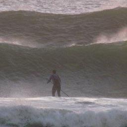 Surfs Up