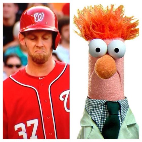 CurlyDubs05's profile picture. Your typical Nats fan, runnin' till they tag me. I'm also going to be the next Julie Alexandria.