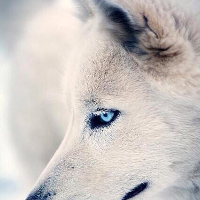 busaad14's profile picture. 