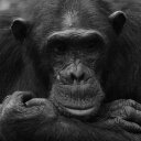 Hugh Webster - @DrHWeb - Twitter