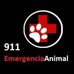 Damos RT a las emergencias animalisticas, adopciones, casos de maltrato, ayudas y eventos.