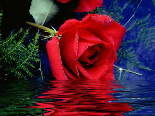 http://t.co/o6D9ZHudeh http://t.co/ddzIw1NqIx