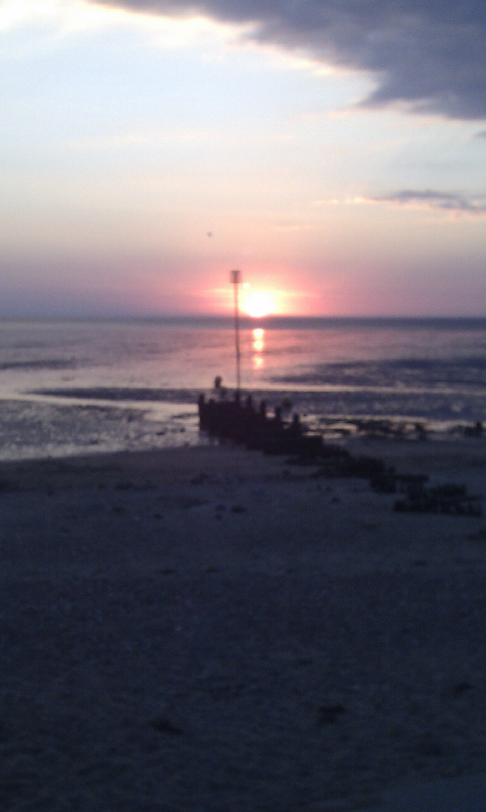 toafa26's profile picture. 