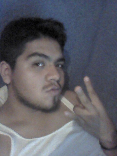 navilost66's profile picture. 