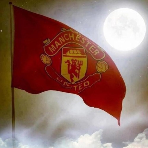 born and bred red living the dream mufc