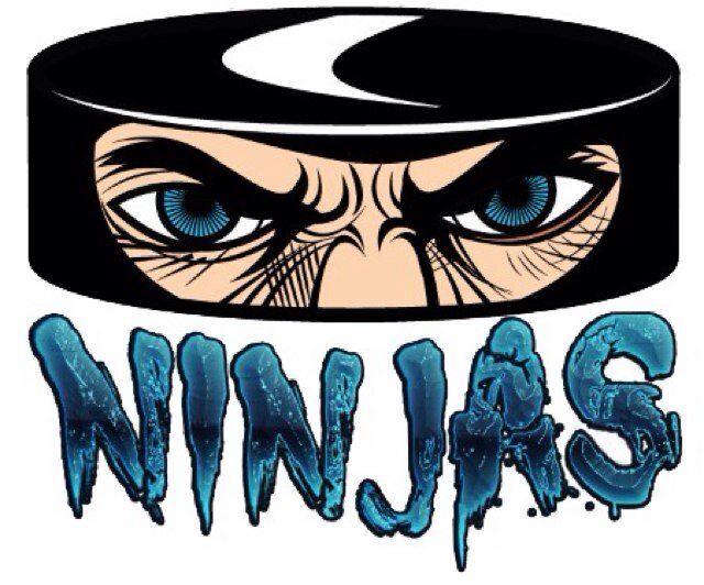 Ice Ninjas are a men's recreational hockey team. The team is currently competing in the RCHL.