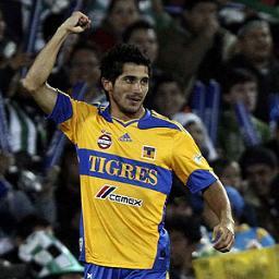 A HUEVO SOY TIGRE lmL sigueme y the sigooo )