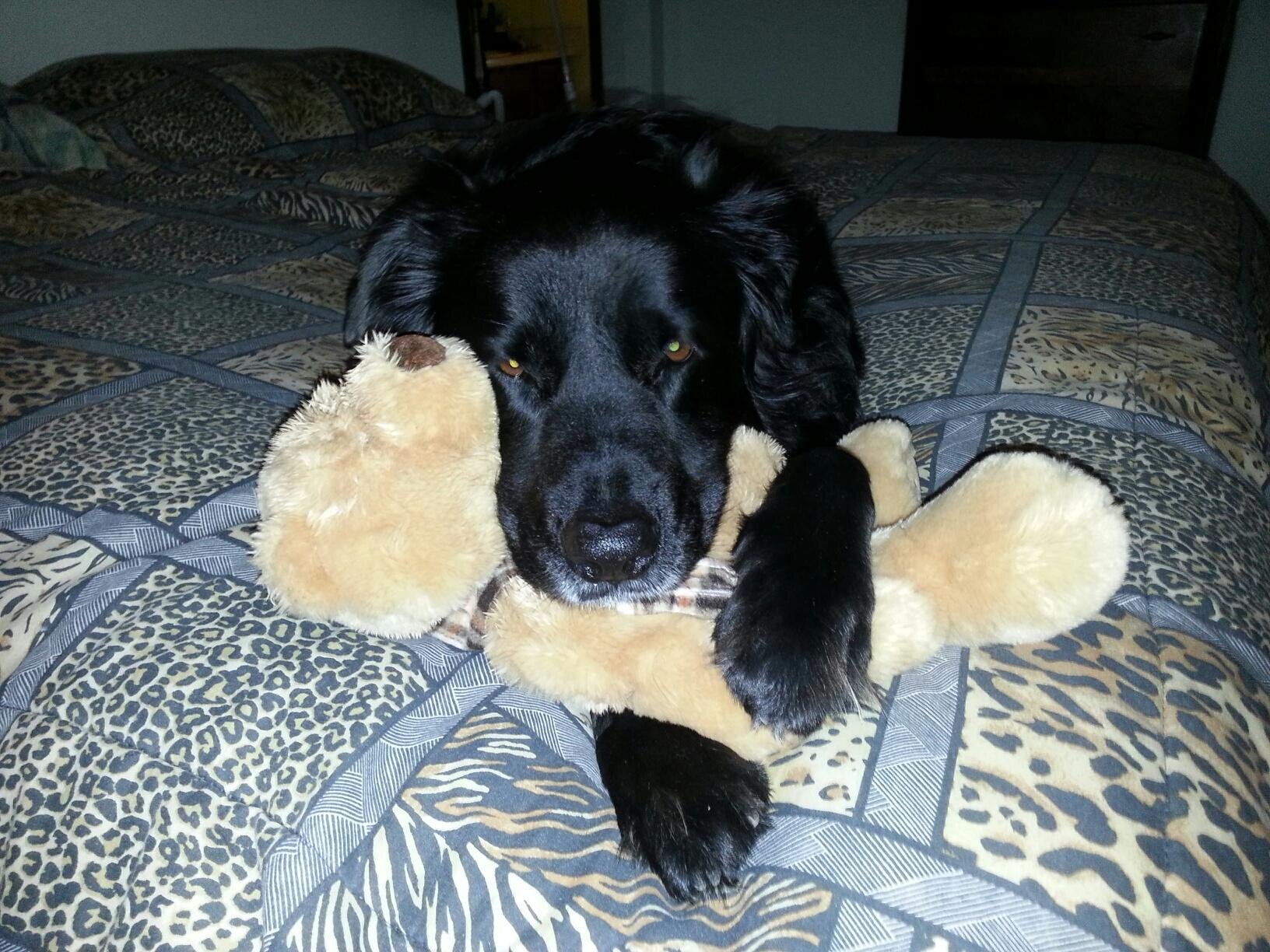 buddman45's profile picture. 