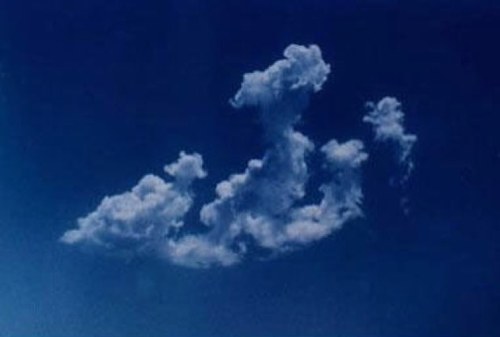 BdahAz's profile picture. 