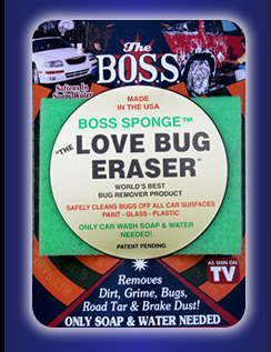 The Absolute Best Way to Clean Love Bugs off Cars, RV and Boats.