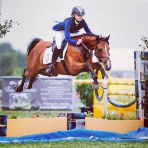 richelle coppelmans - deurne - paardrijden 3