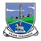 Fermanagh LGFA Profile