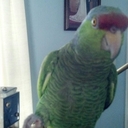 Elizabeth Vick - @vick943 - Twitter