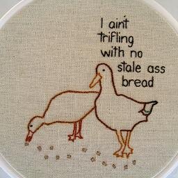 I'm a half stack poultry.  i don't really understand things.  enby as fuck.  they/them.
