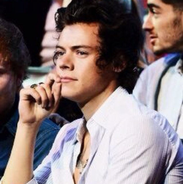 i like harry styles