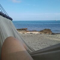 Anna Rivera 🇵🇷🇺🇸 (@coquianna32) 's Twitter Profile