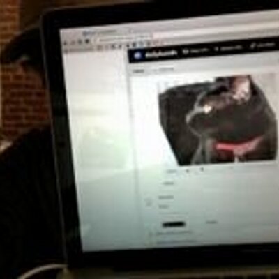 Profile Picture of Doyle Rodriguez (@GabriellaZulauf) on Twitter