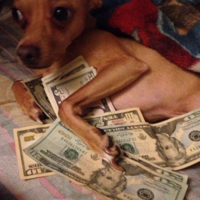 ayalaraul15's profile picture. 