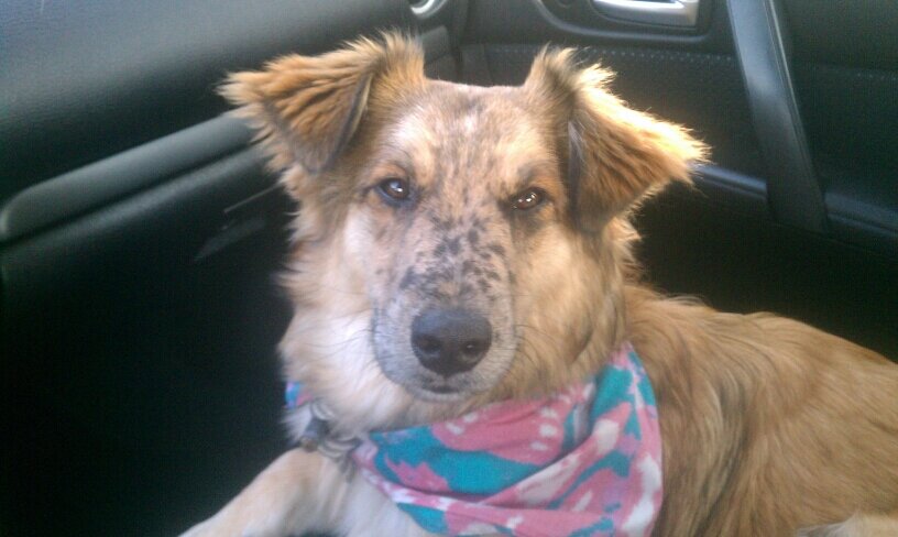 birdiebanks54's profile picture. 