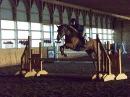 don't let you eq suck. zone 6. insta: ridejumpsoar snapchat: midwestequine
