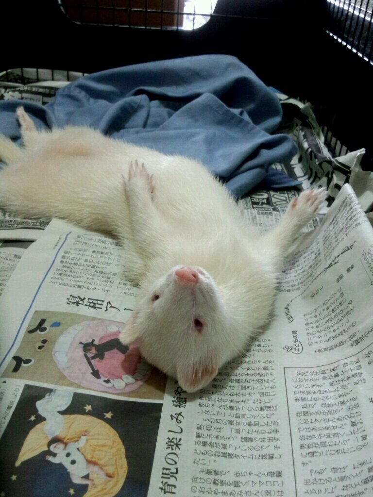 gajwtp4's profile picture. 東京/高2