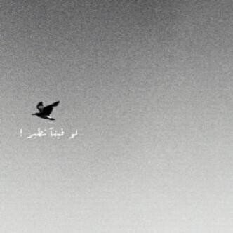 وبك يَ اللہ ـ تطمئن الروح وتبتسم ،لا الہ الا اَنت..♡