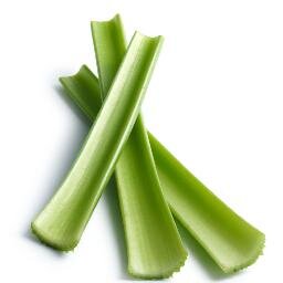 In my land twitter is actually the facebook of celery and clearly theyre trying to troll me ha ha very funny guys