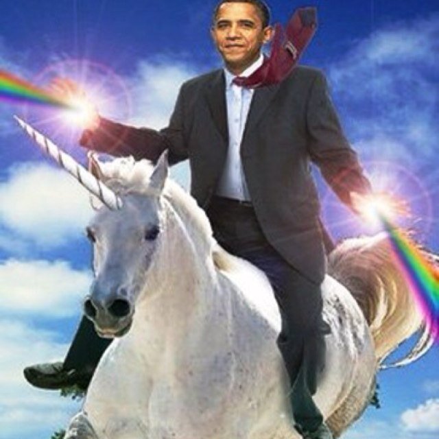 alisoncalser's profile picture. Just because we're not butterflies doesn't mean we cant fly.