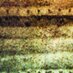 Moorooduc Estate (@moorooducestate) Twitter profile photo Moorooduc Estate (@moorooducestate) Twitter profile photo