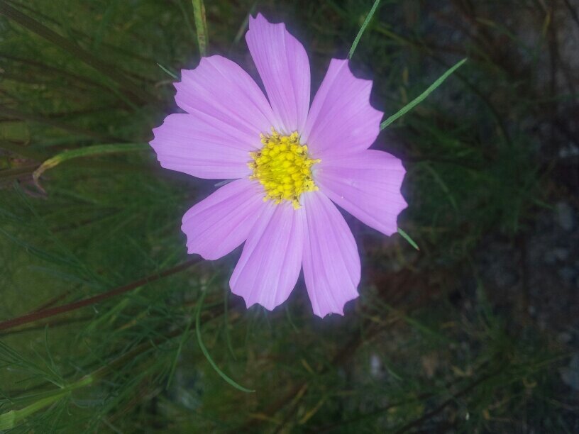 업소용 주방기기 설비 및 기기 판매, 아이엔마켓 http://t.co/uvOITNKvfE