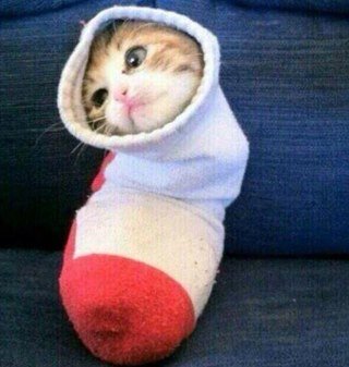 Hi...