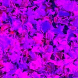 FeedMyMusic's profile picture. A part of the Feed My family for all your music needs :D