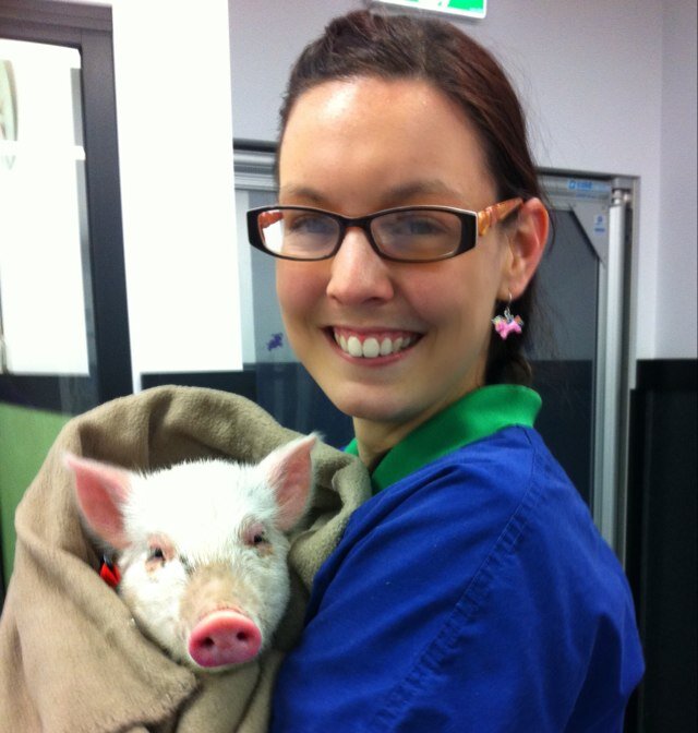 emmalemmala's profile picture. Veterinary nurse for RSPCA Qld