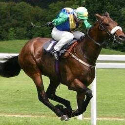 We tweet links to the best twitter tipsters so you don't have to trawl through the weak ones.