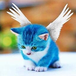 aime les animaux, humains compris (s'ils en valent la peine)