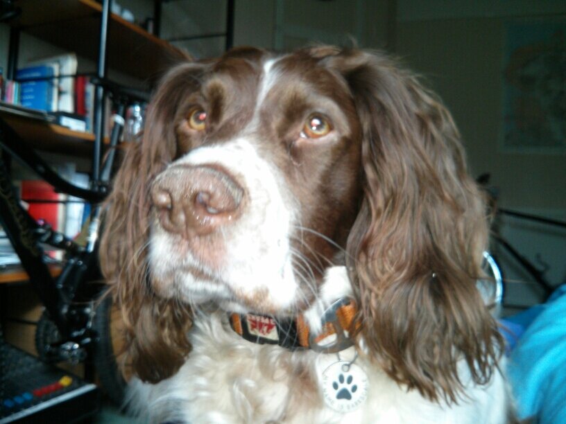 piltdown_manc's profile picture. sarcastic liability. would be wit and bon viveur. hit the north in 94 and never looked back. i don't like bigots much. sorry.